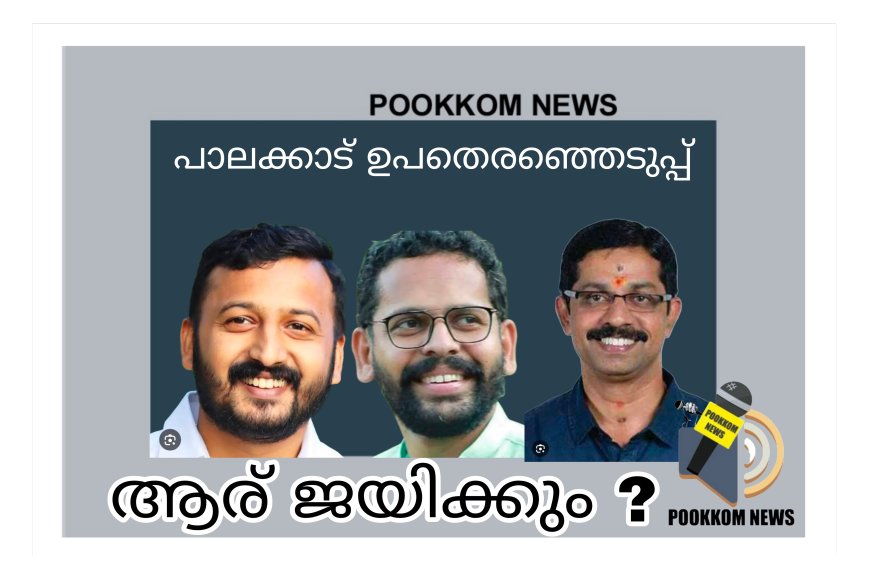 കളം നിറഞ്ഞ് സ്ഥാനാർത്ഥികൾ : പാലക്കാട് 10 വയനാട് 16 ചേലക്കര 6 , ഉപതെരഞ്ഞെടുപ്പ് ചിത്രം തെളിഞ്ഞു